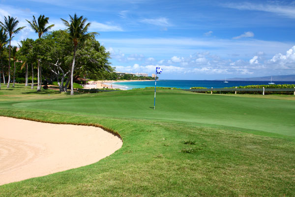 Hawaii Golf Id Card